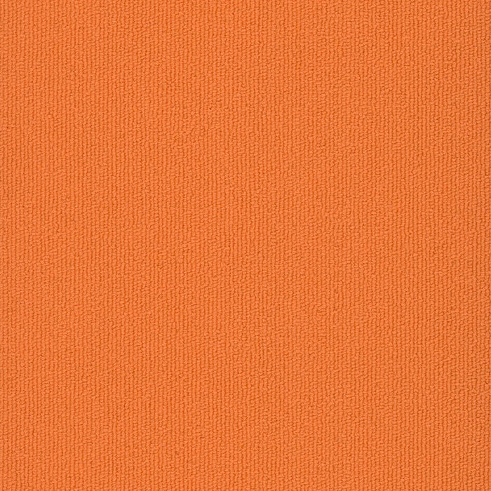 Colorburst Nylon Sunburst 3142 Carpet Tile Loop 2