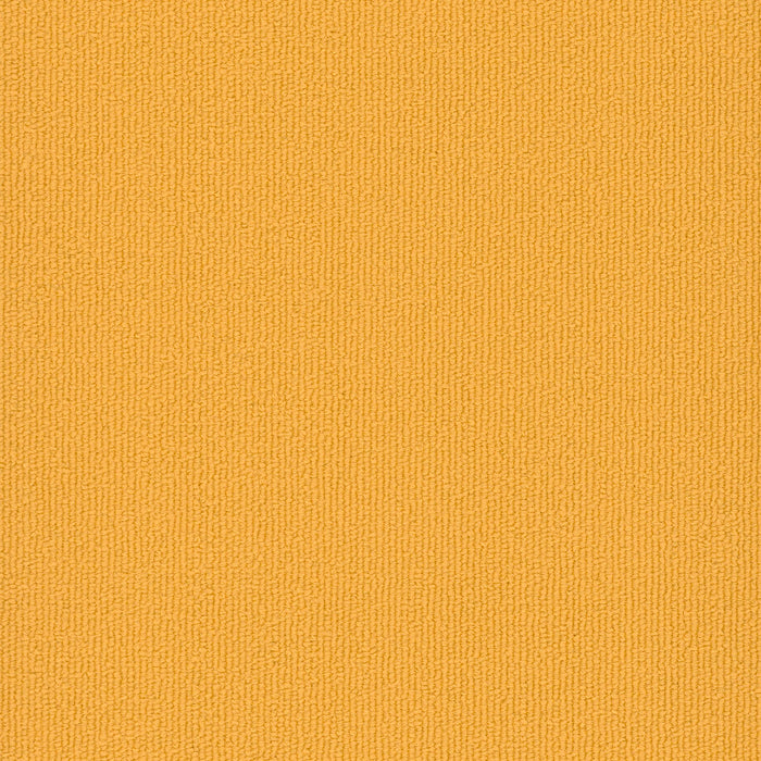 Colorburst Nylon Medallion 3143 Carpet Tile Loop 2