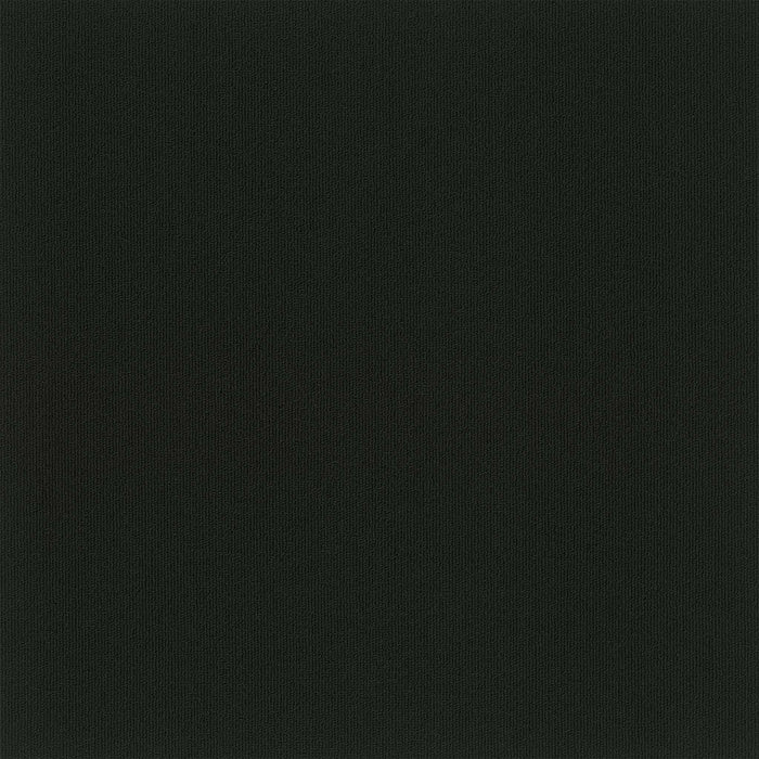Colorburst Nylon Midnight 3137 Carpet Tile Loop 1