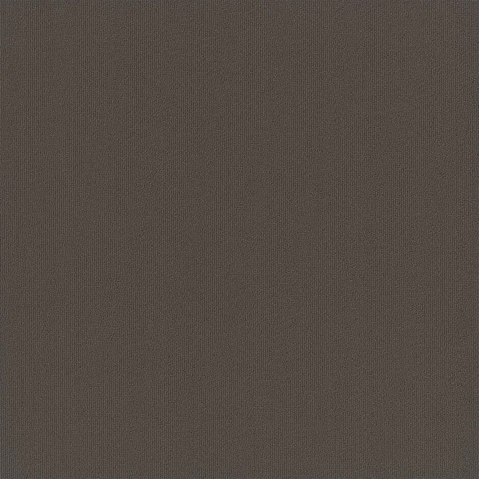 Colorburst Nylon Carob 3140 Carpet Tile Loop 1