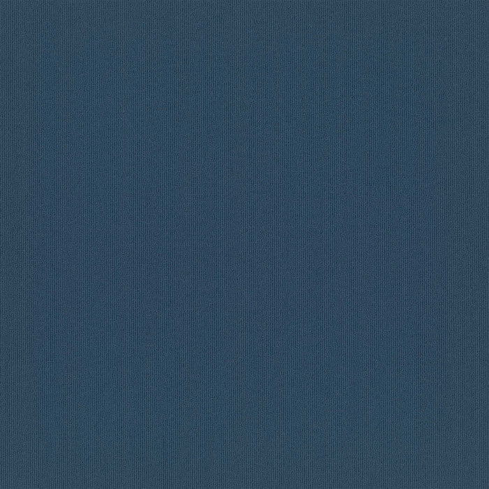Colorburst Nylon Matte Lake 3141 Carpet Tile Loop 1