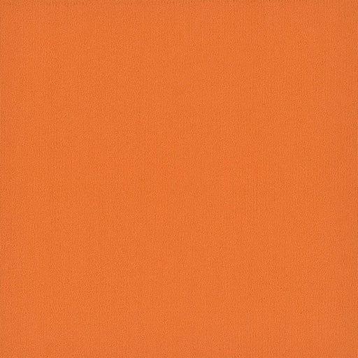 Colorburst Nylon Sunburst 3142 Carpet Tile Loop 1