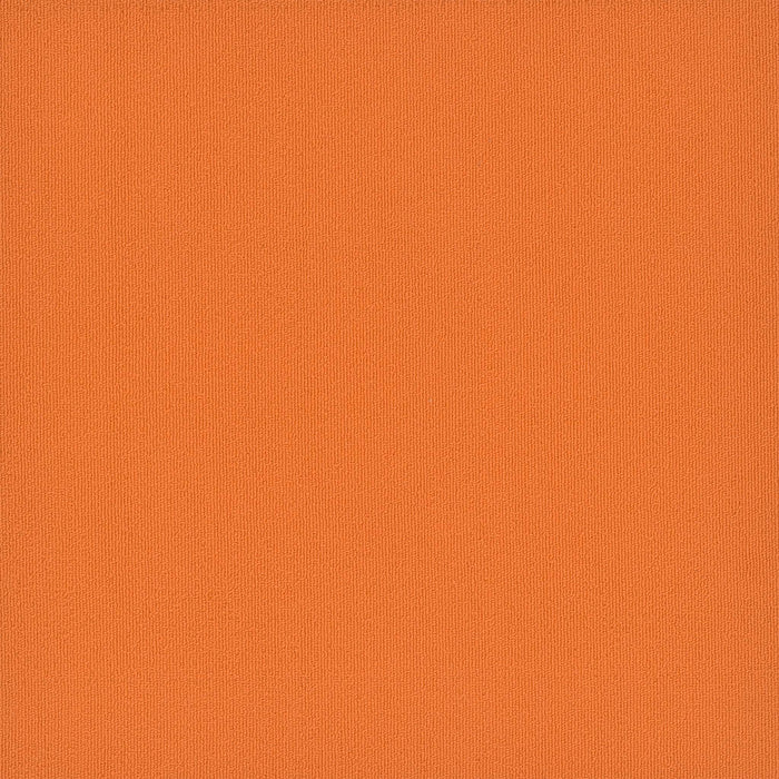 Colorburst Nylon Sunburst 3142 Carpet Tile Loop 1
