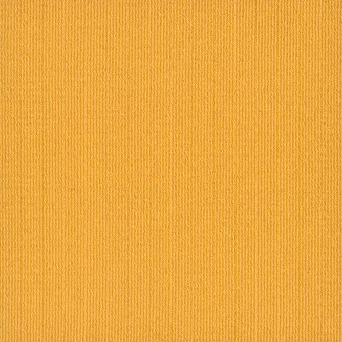 Colorburst Nylon Medallion 3143 Carpet Tile Loop 1