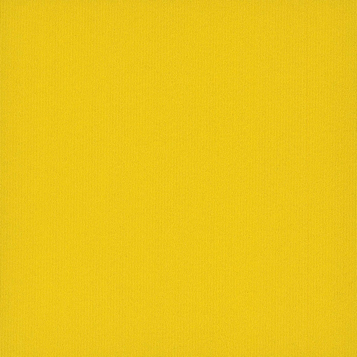 Colorburst Nylon Cyber 3144 Carpet Tile Loop 1