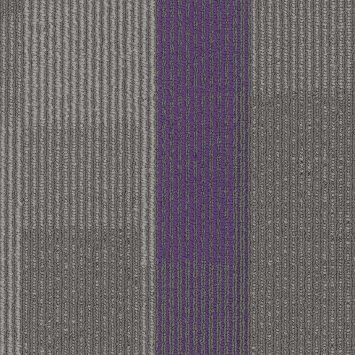 Amplify Polyester Royal Purple 3136 Carpet Tile Loop 1