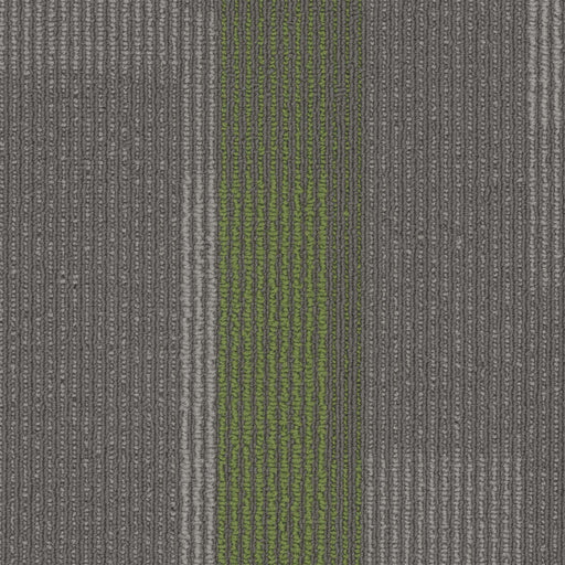 Amplify Polyester Parrot 3147 Carpet Tile Loop 1