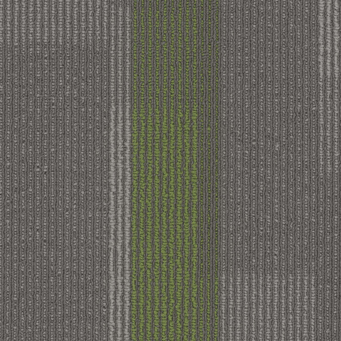 Amplify Polyester Parrot 3147 Carpet Tile Loop 1