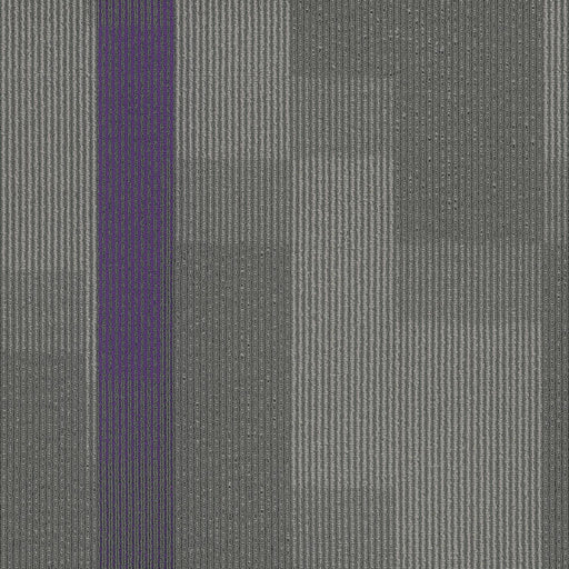 Amplify Polyester Royal Purple 3136 Carpet Tile Pattern 1