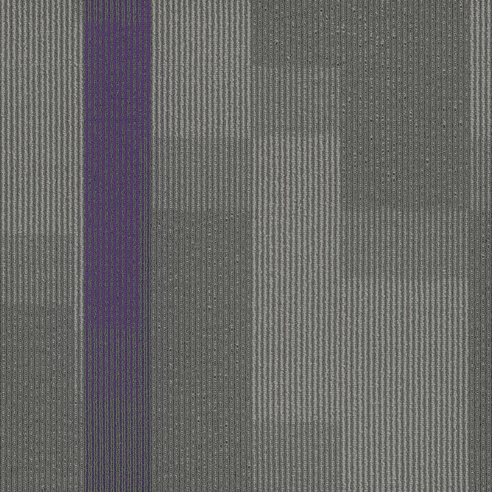 Amplify Polyester Royal Purple 3136 Carpet Tile Pattern 1