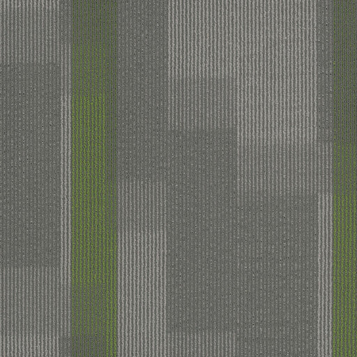 Amplify Polyester Parrot 3147 Carpet Tile Pattern 1