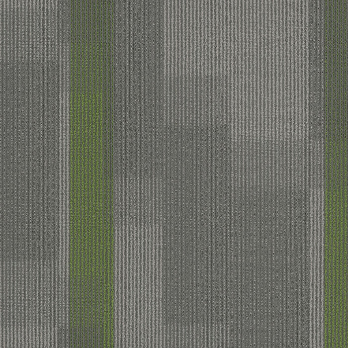 Amplify Polyester Parrot 3147 Carpet Tile Pattern 1