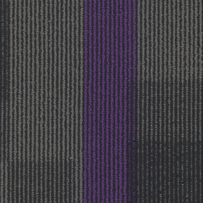 Magnify Polyester Royal Purple 3136 Carpet Tile Pattern 2