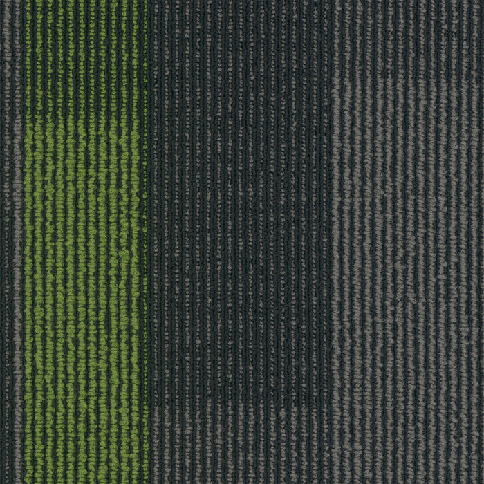 Magnify Polyester Parrot 3147 Carpet Tile Pattern 2