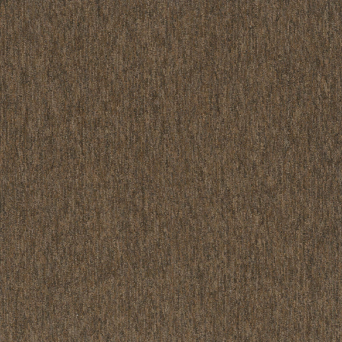 Fast Break Polyester Coast-to-Coast 2147 Carpet Tile Textured 1