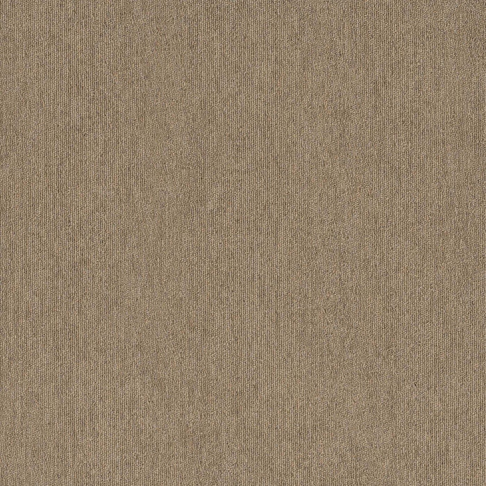 Fast Break Polyester Lay-Up 2149 Carpet Tile Textured 1
