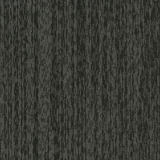 Cabled Polyester Application 2974 Carpet Tile Textured 1