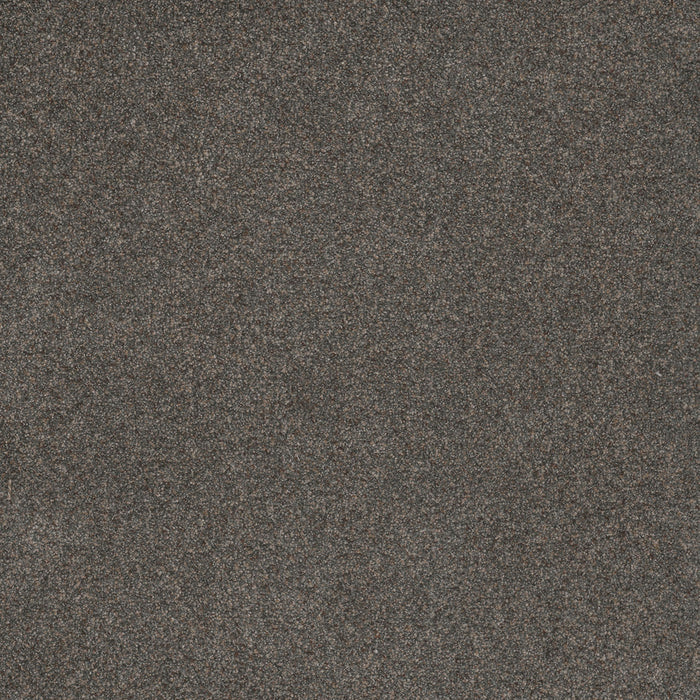Serene III Polyester Electric 2055 Carpet Textured 1