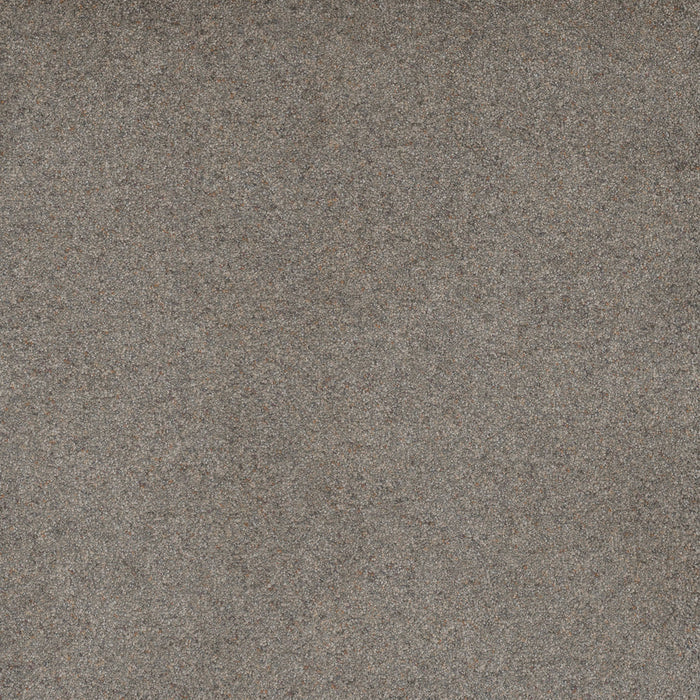 Serene III Polyester Ozark 2072 Carpet Textured 1