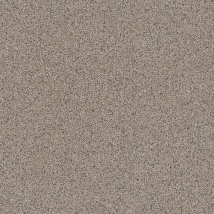 Serene II Polyester Cottondale 2141 Carpet Textured 1