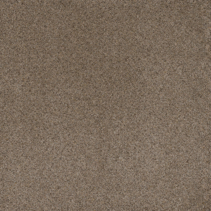 Serene I Polyester Cinnabar 2188 Carpet Textured 1