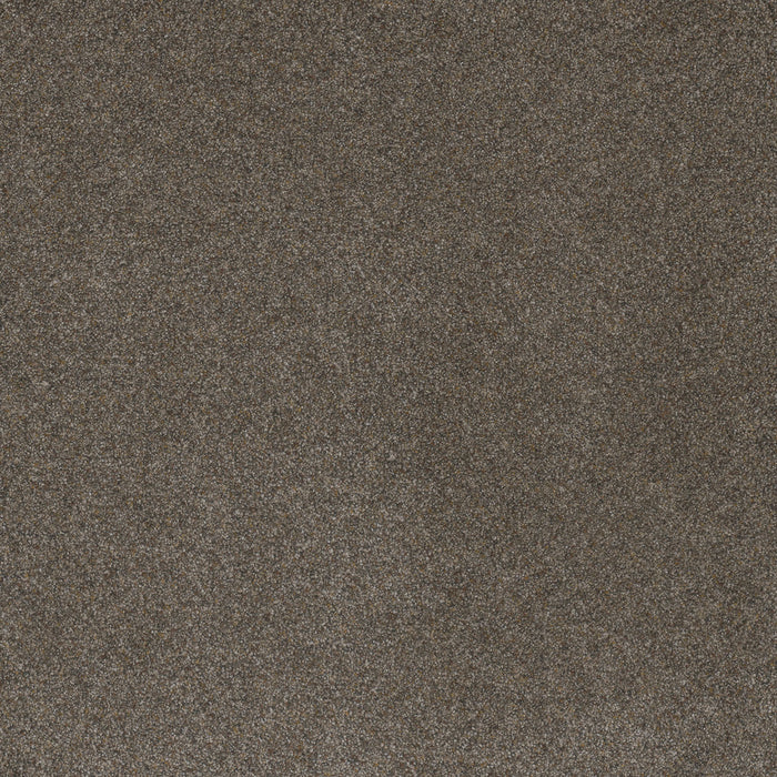 Serene III Polyester Mulberry 2217 Carpet Textured 1