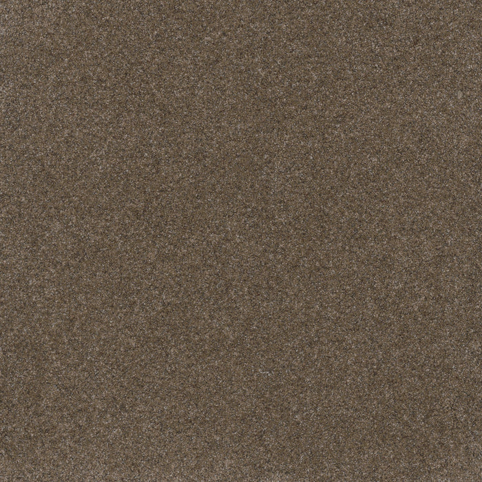 Serene I Polyester Walnut Grove 2223 Carpet Textured 1