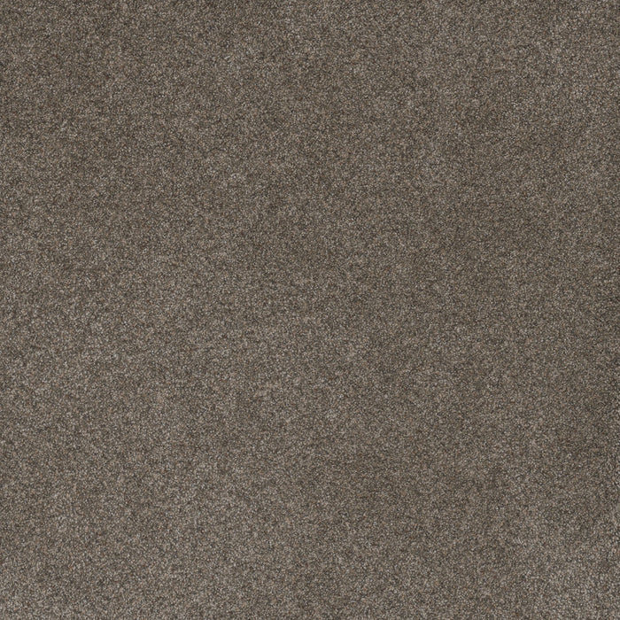 Serene III Polyester Ridgeview 2245 Carpet Textured 1