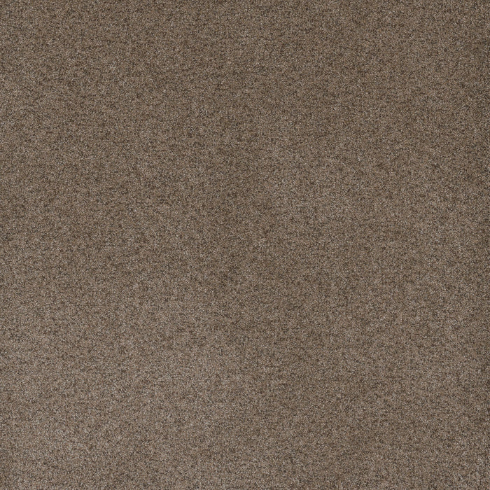 Serene II Polyester Shellbark 2251 Carpet Textured 1