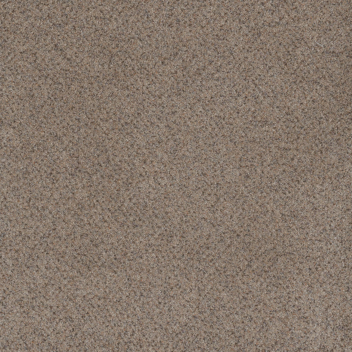 Serene III Polyester Shining Star 2292 Carpet Textured 1