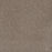 Serene II Polyester Shining Star 2292 Carpet Textured 1