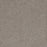 Serene III Polyester Bouquet 2311 Carpet Textured 1