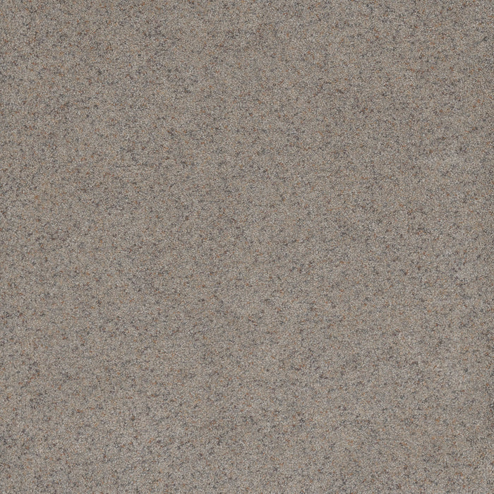 Serene III Polyester Bouquet 2311 Carpet Textured 1