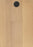 Portofino Wood Warm Honey Engineered Hardwood Wire Brushed 1