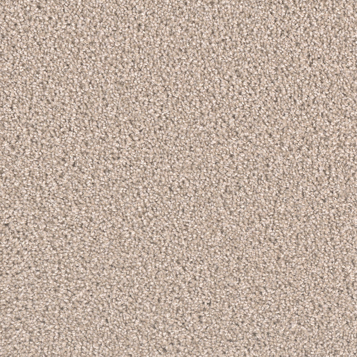 Exceptional II Polyester Cameo 174 Carpet Textured 1