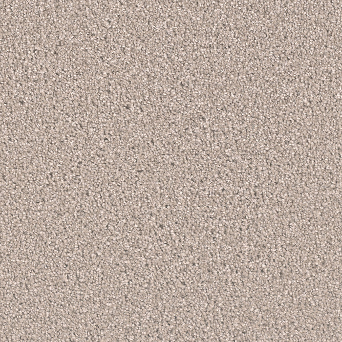 Exceptional II Polyester Clam Shell 182 Carpet Textured 1