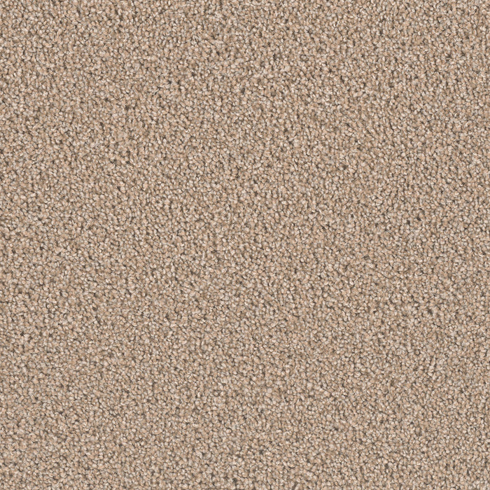 Exceptional II Polyester Iced Coffee 373 Carpet Textured 1