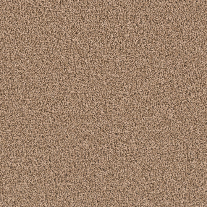 Exceptional II Polyester Sable 510 Carpet Textured 1
