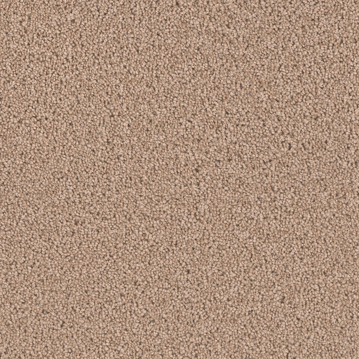 Exceptional II Polyester Doeskin 530 Carpet Textured 1