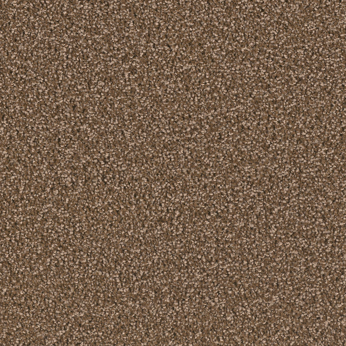 Exceptional II Polyester Black Walnut 540 Carpet Textured 1