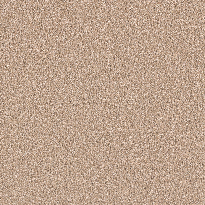 Exceptional II Polyester Sawgrass 701 Carpet Textured 1