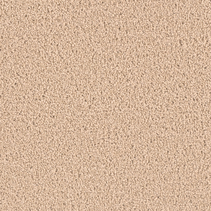 Exceptional II Polyester Cookie Dough 705 Carpet Textured 1