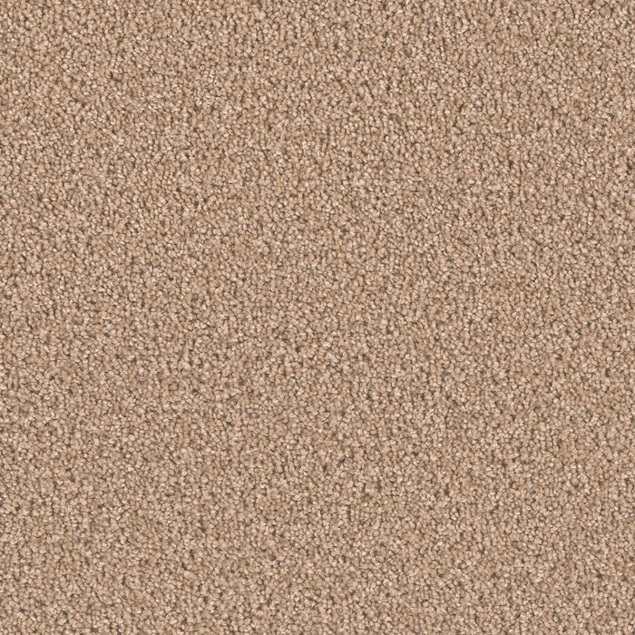 Exceptional II Polyester Buff 720 Carpet Textured 1