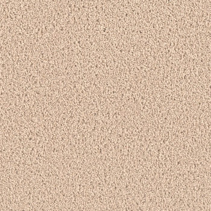 Exceptional II Polyester Eggshell 730 Carpet Textured 1