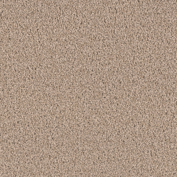 Exceptional II Polyester Hazlenut Cream 775 Carpet Textured 1