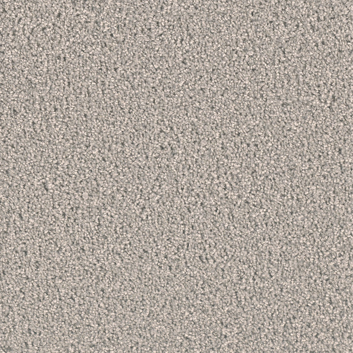 Exceptional II Polyester Silver Birch 800 Carpet Textured 1