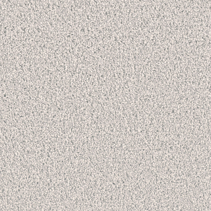 Exceptional II Polyester Morning Fog 813 Carpet Textured 1
