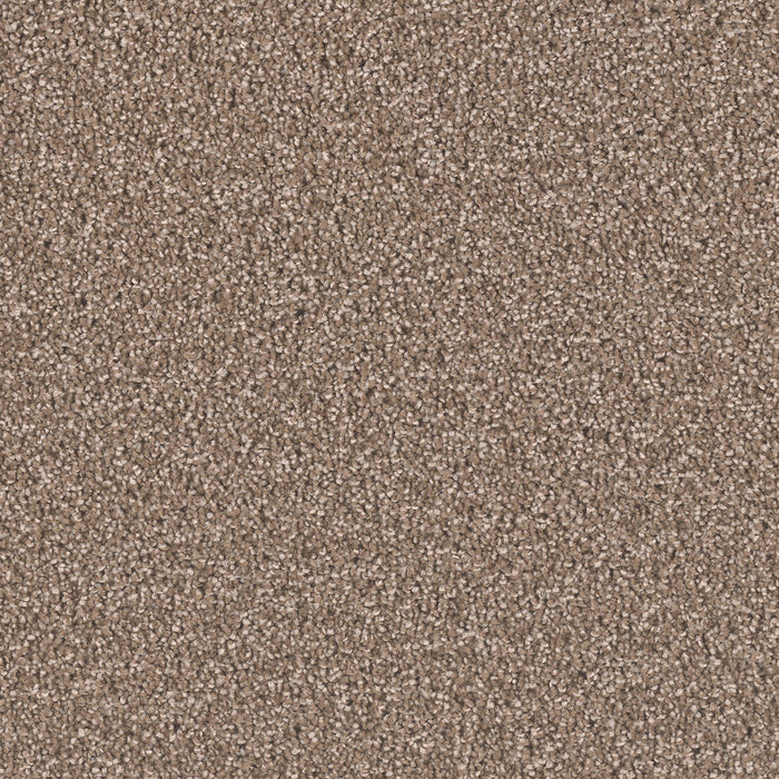 Exceptional II Polyester Tumbleweed 829 Carpet Textured 1