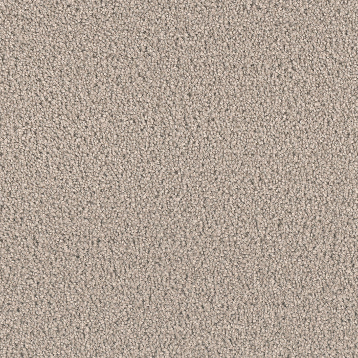 Exceptional II Polyester Mineral 850 Carpet Textured 1