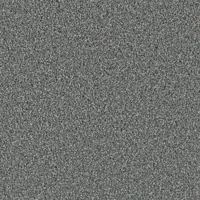 Exceptional II Polyester Steel Grey 890 Carpet Textured 1